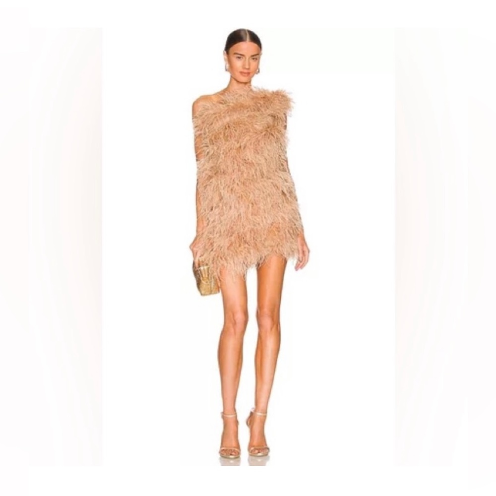The Bar Andre Feather Dress.